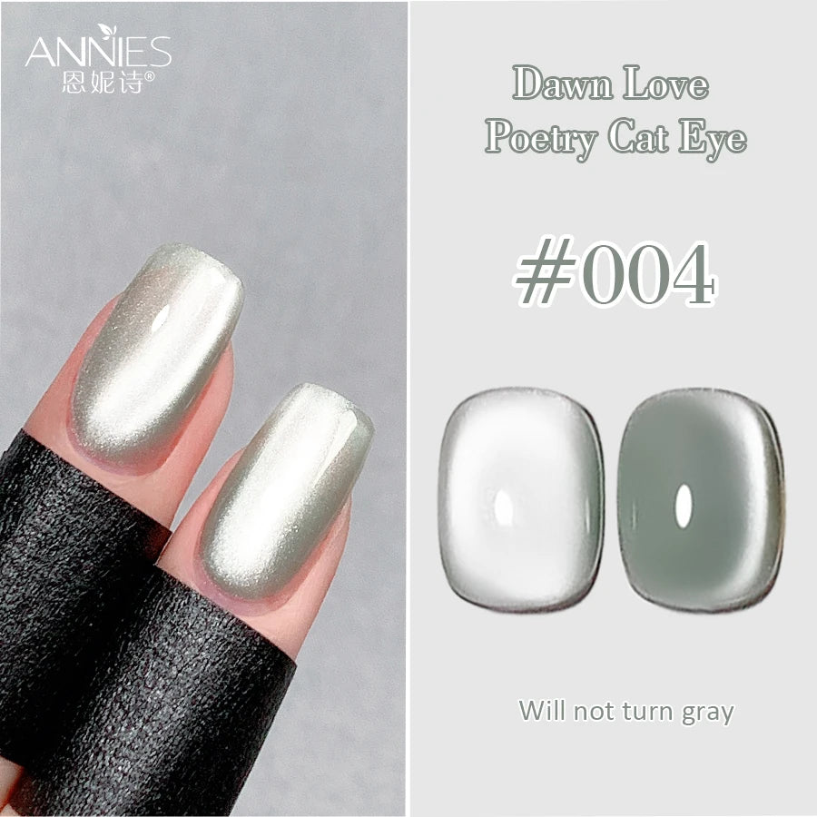 Conjunto de esmalte en gel magnético Nail Art