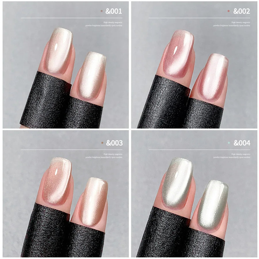Conjunto de esmalte en gel magnético Nail Art