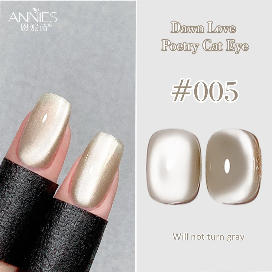 Conjunto de esmalte en gel magnético Nail Art