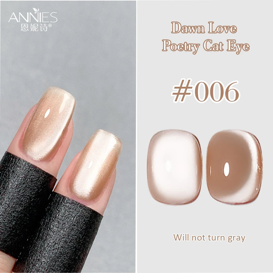 Conjunto de esmalte en gel magnético Nail Art