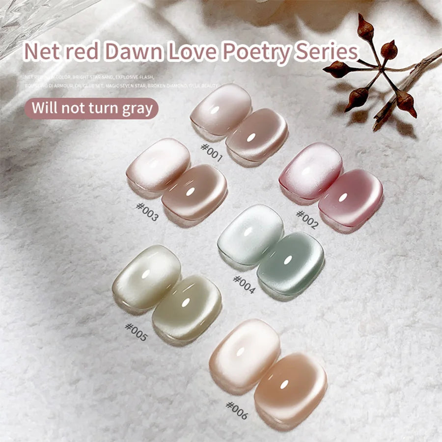 Conjunto de esmalte en gel magnético Nail Art