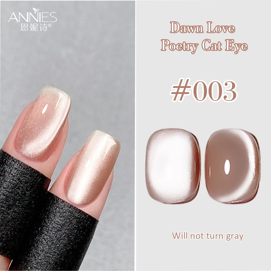 Conjunto de esmalte en gel magnético Nail Art