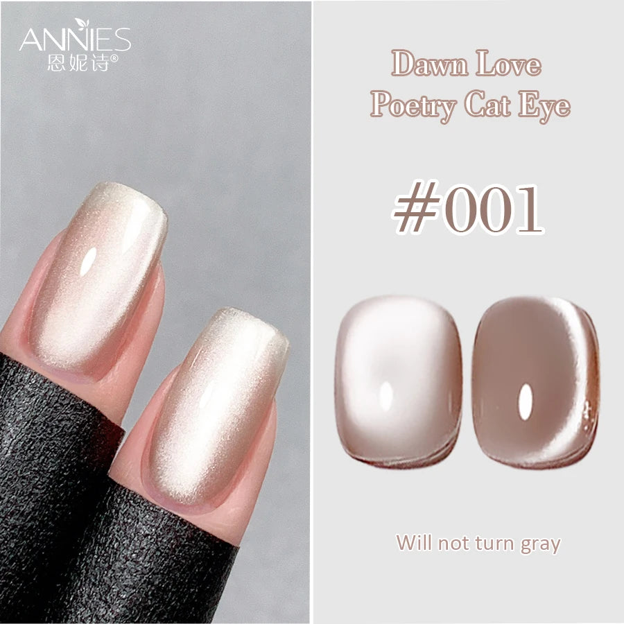 Conjunto de esmalte en gel magnético Nail Art