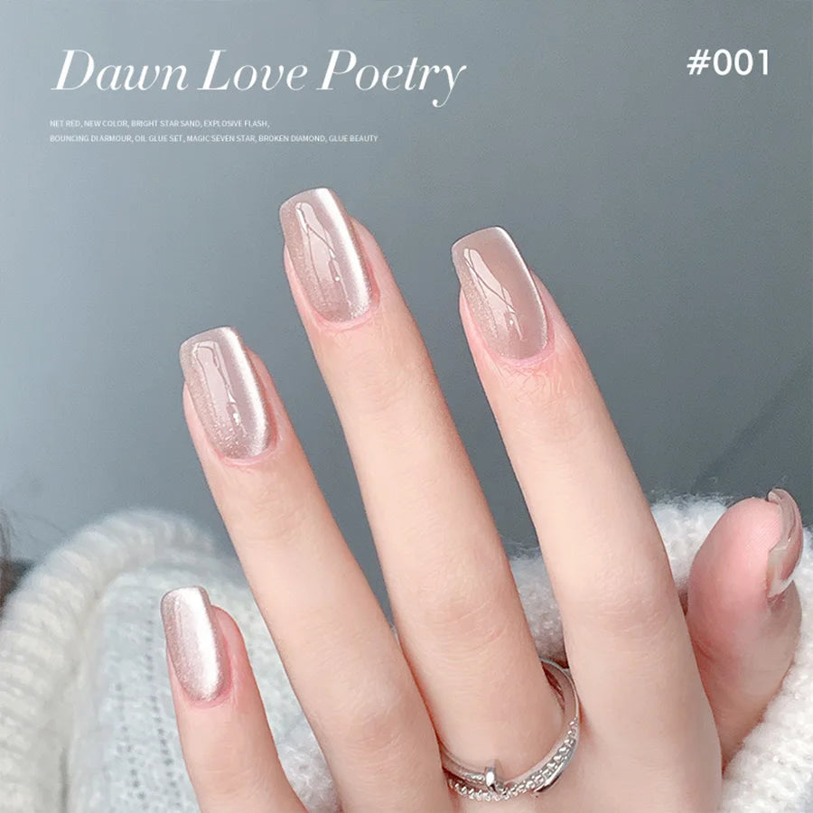 Conjunto de esmalte en gel magnético Nail Art