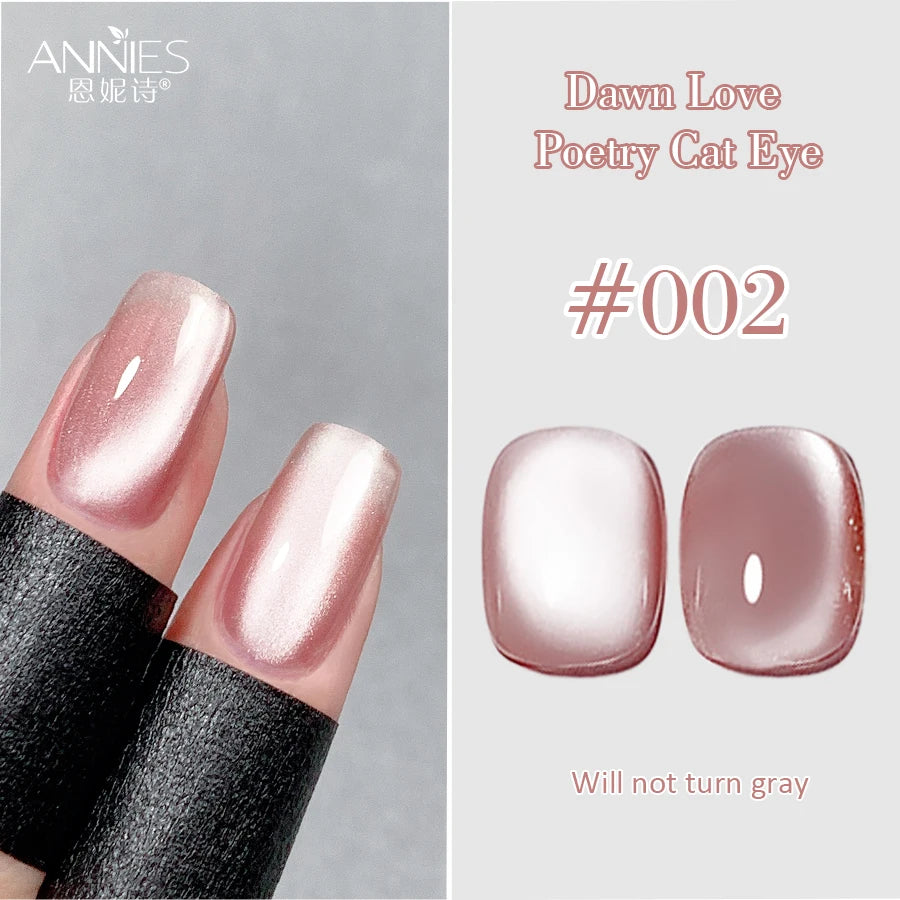 Conjunto de esmalte en gel magnético Nail Art