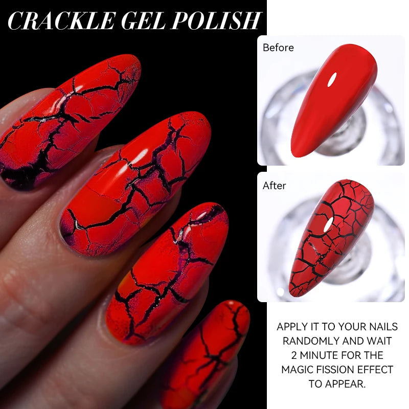 LILYCUTE 12 esmaltes quebradizos secado UV