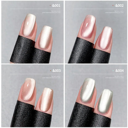 Conjunto de esmalte en gel magnético Nail Art