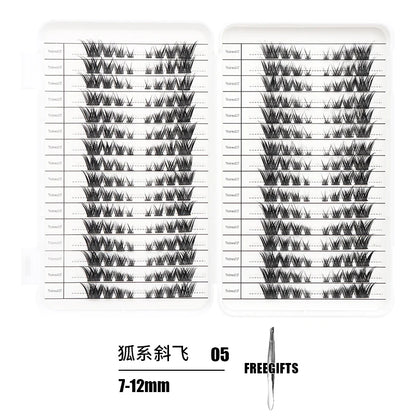 DINGSEN Eyelash Extensions