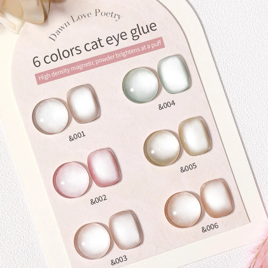 Conjunto de esmalte en gel magnético Nail Art