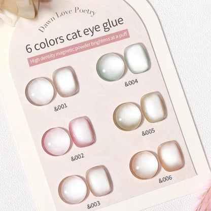 Conjunto de esmalte en gel magnético Nail Art
