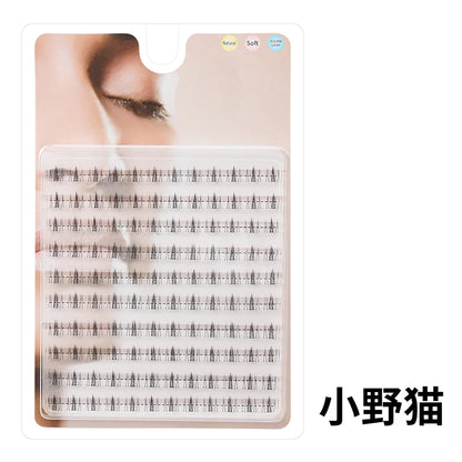DINGSEN Eyelash Extensions