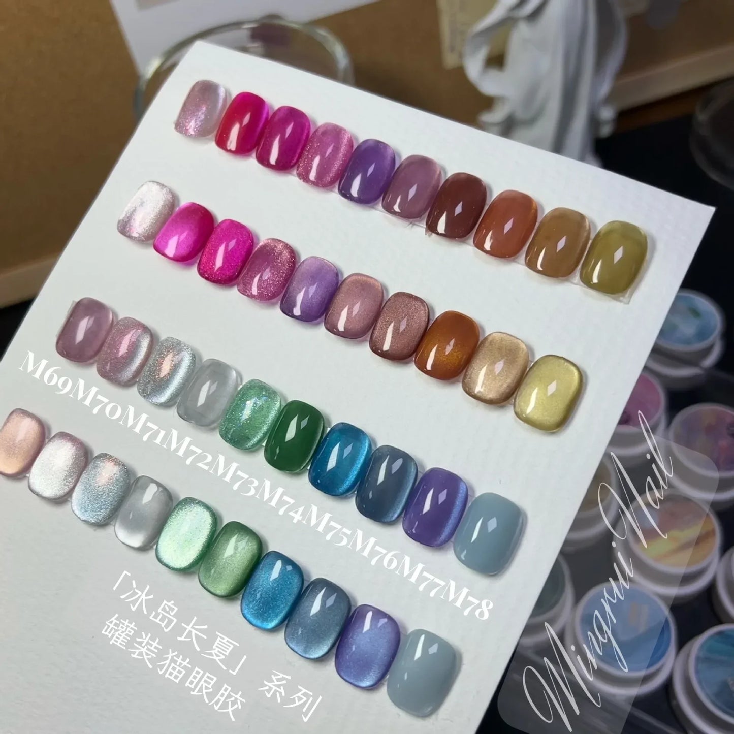 Cat Eye UV Magnetic Gel Polish Set