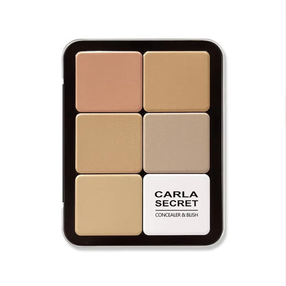 All-in-One 12 Color Palette - Concealer, Blush, Highlighter and Matte Contour