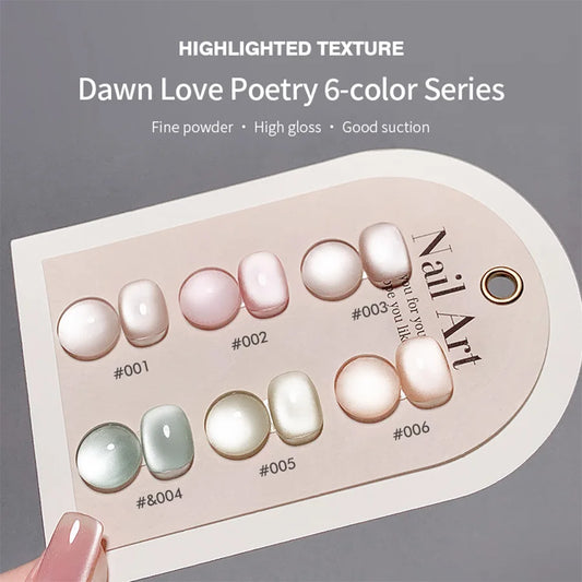 Magnetic Gel Polish Nail Art Set