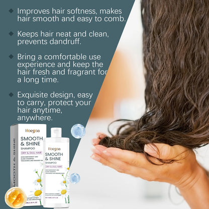HOEGOA Champú para cabello seco y opacado, recibe brillo y suavidad.